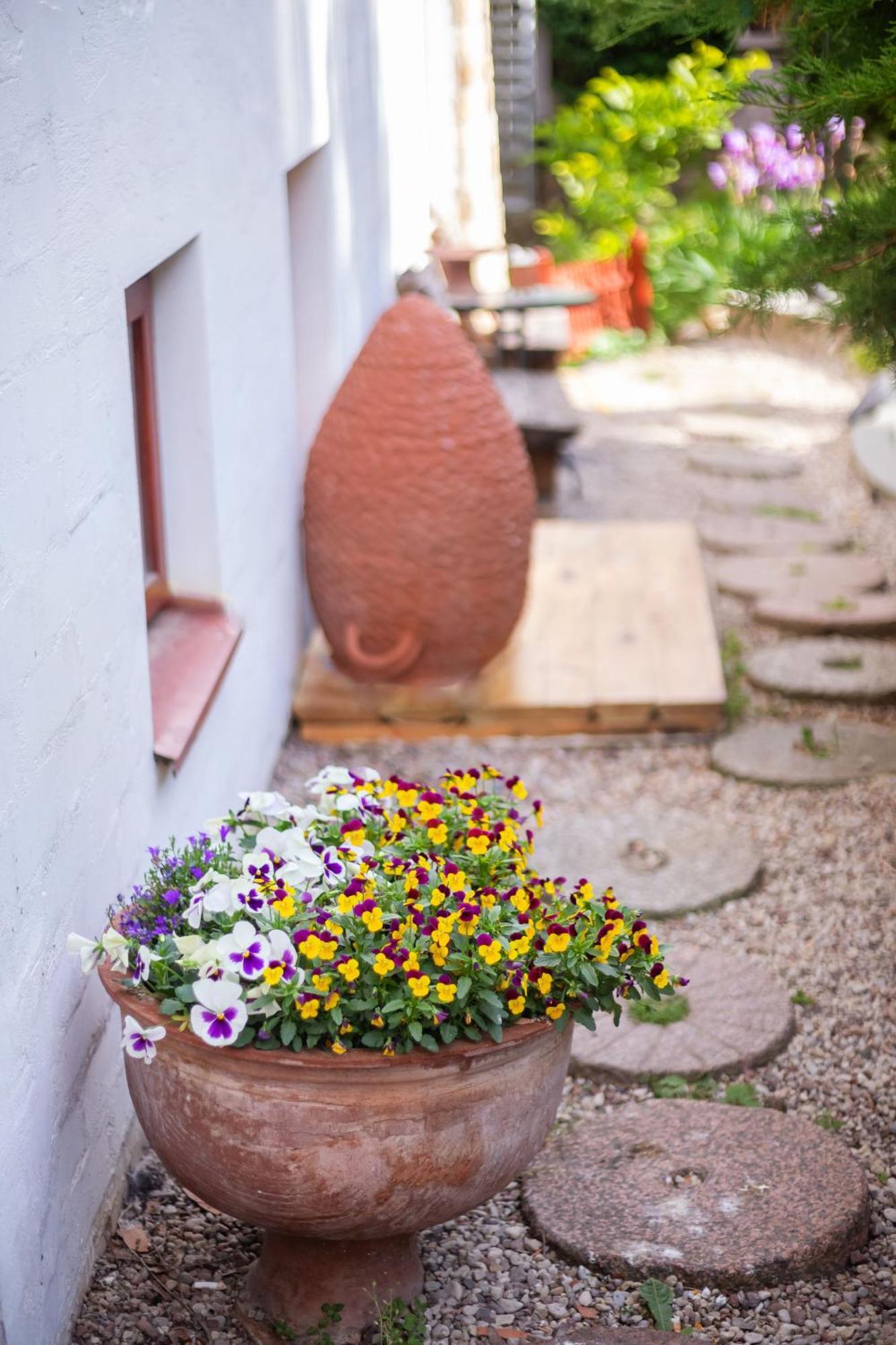 House Of Sun Bed & Breakfast Vilnius Bagian luar foto